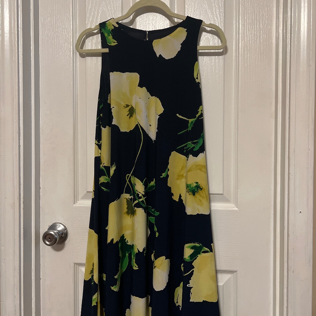 Anne Kline Dress